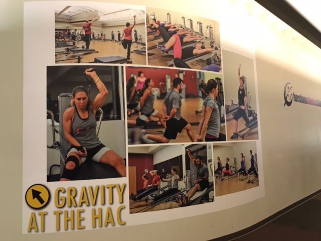 Giant wall mural installed in a gymnasium.
