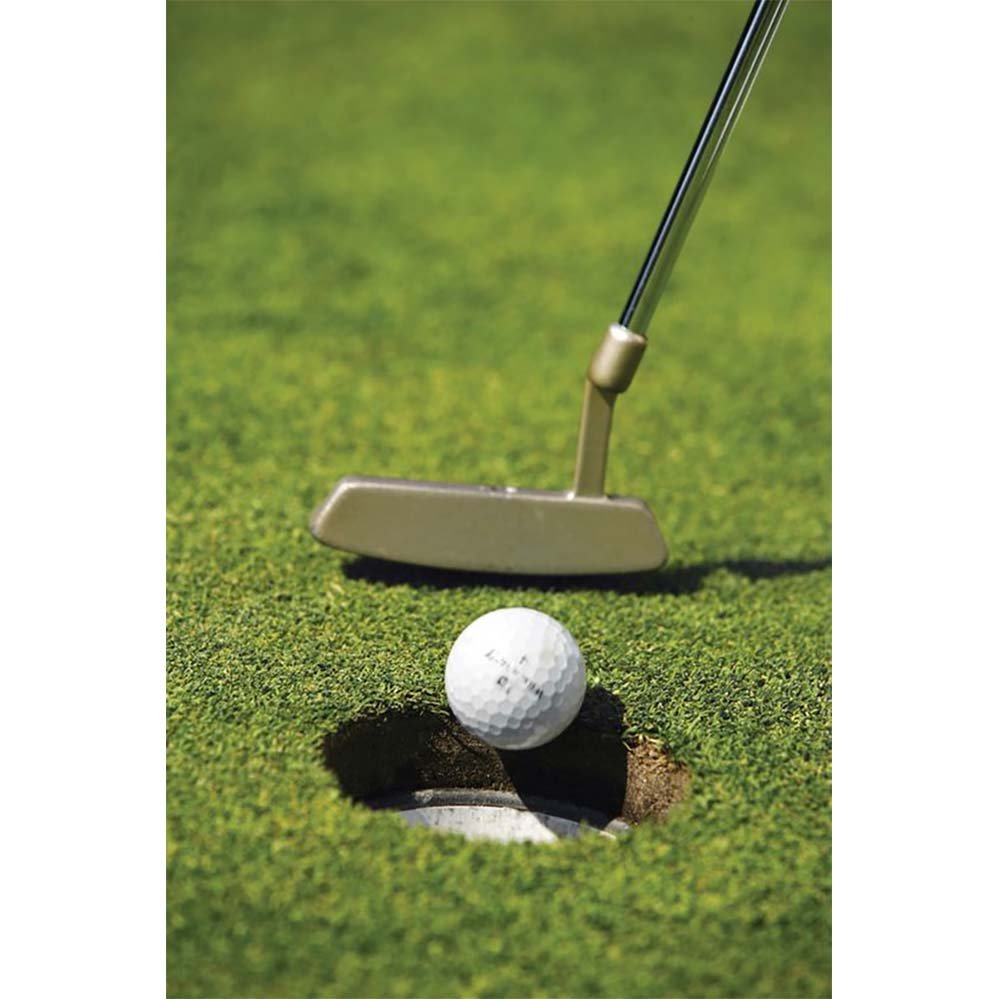 In the Heart Gold Gloss Poster Printed | Wallhogs