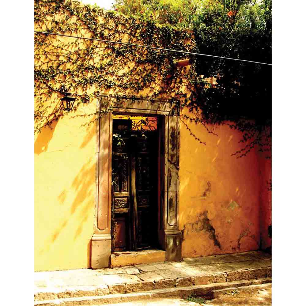 Vintage door with yellow wall and greenery Mexican architecture wall decal printed  Wallhogs