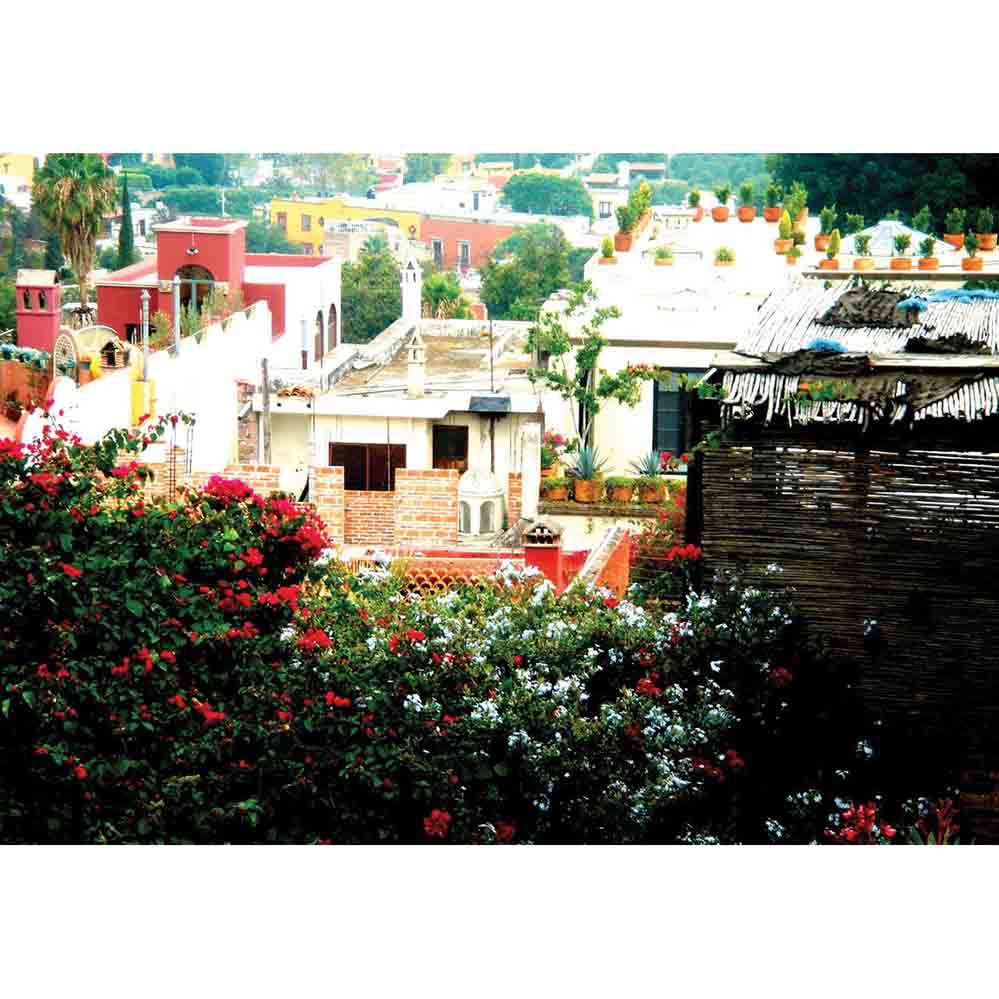 Rooftop garden of a Mexican home looking down on town gloss poster printed | Wallhogs