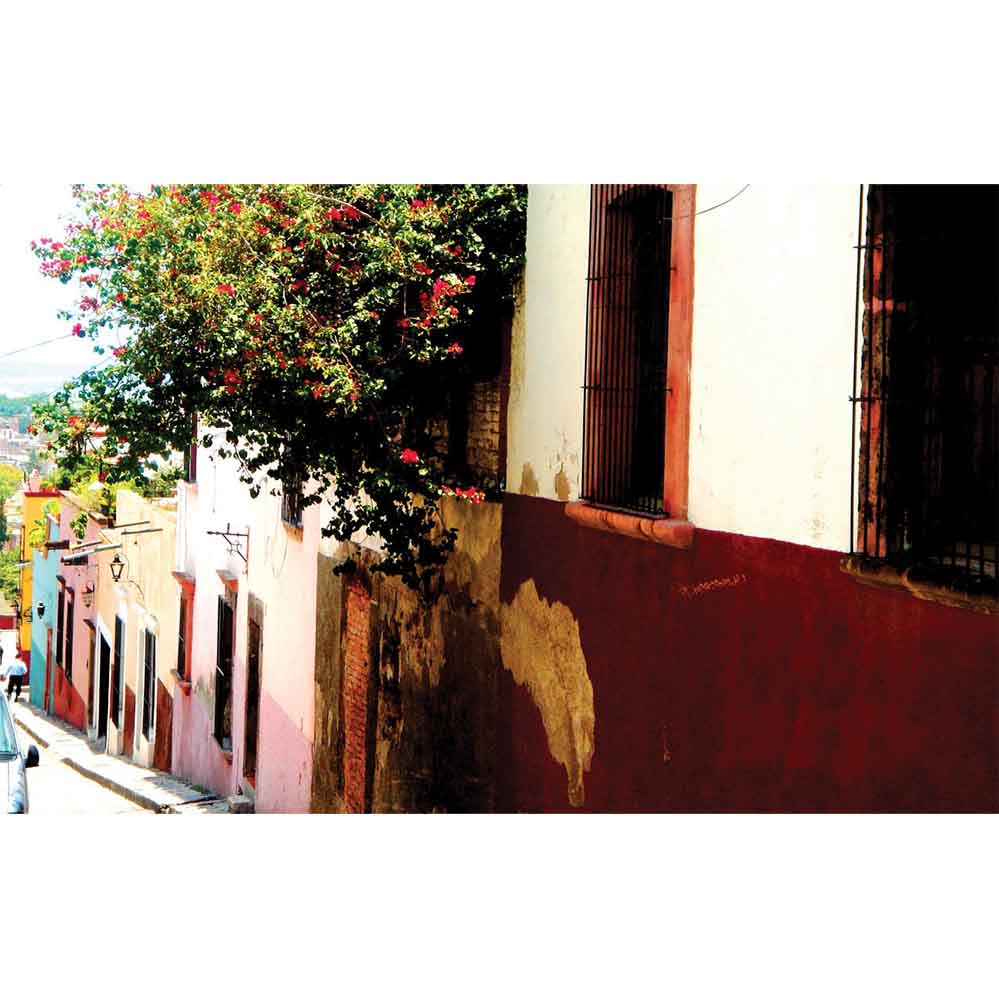 Mexican homes along a street with red floral bushes gloss poster printed | Wallhogs