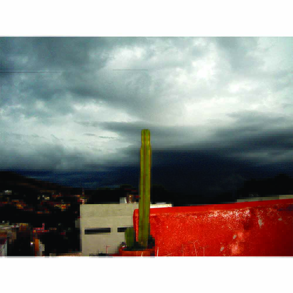 Cactus on a red ledge with a dark, stormy, cloudy sky wall decal printed | Wallhogs