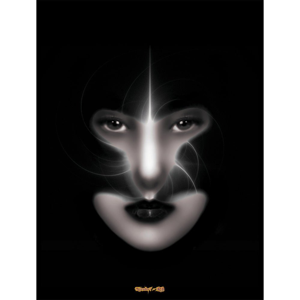 Fantasy fractal art of a womans face shadowed by her helmet with swirling white light wall decal printed | Walllhogs