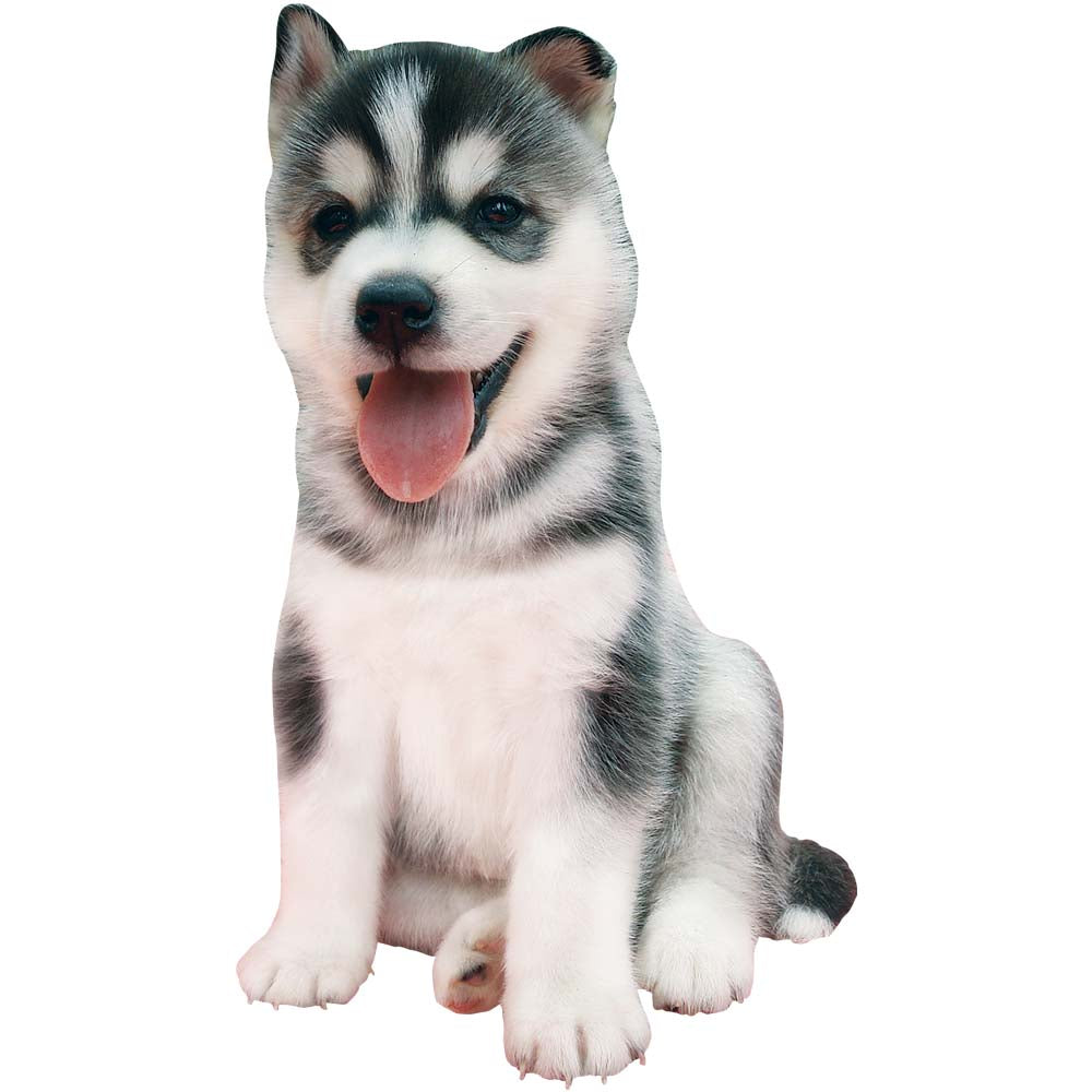 Husky Puppy Wall Decal Printed | Walllhogs