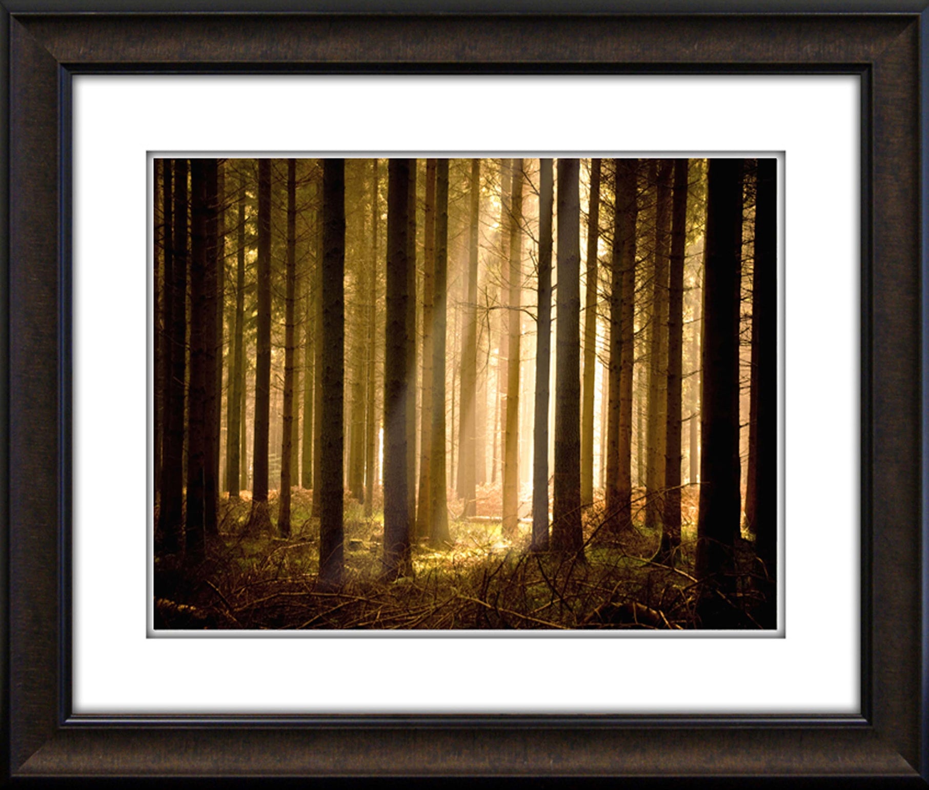 Pine Tree Light Framed Art 19.25