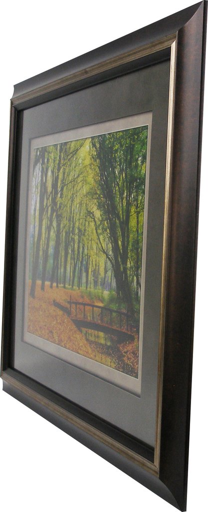 Fall Tree Tunnel Framed Art Angle Side View