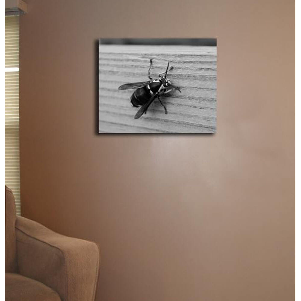 Bee Canvas Print Installed | Wallhogs