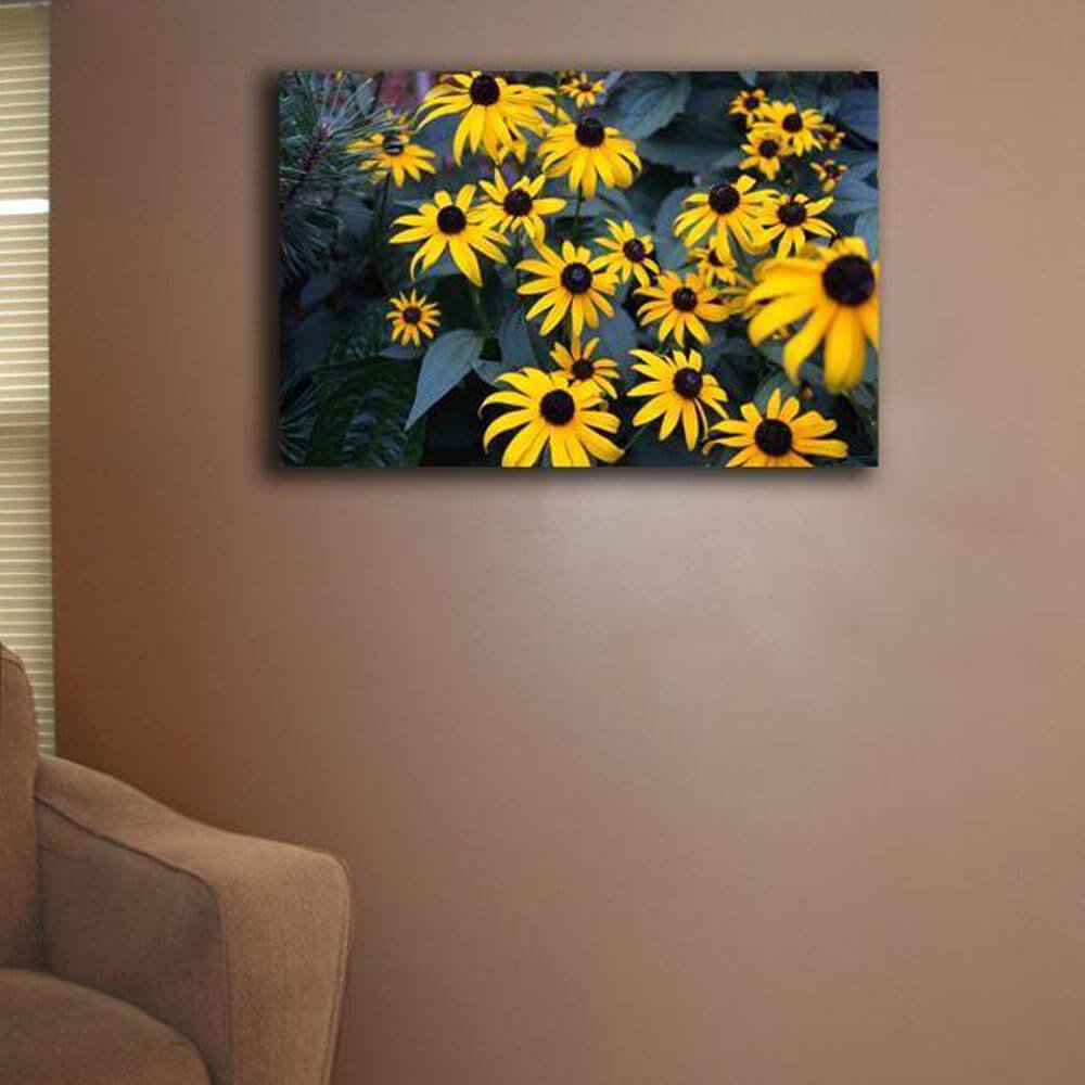 Bunch of Daisies Canvas Installed | Wallhogs