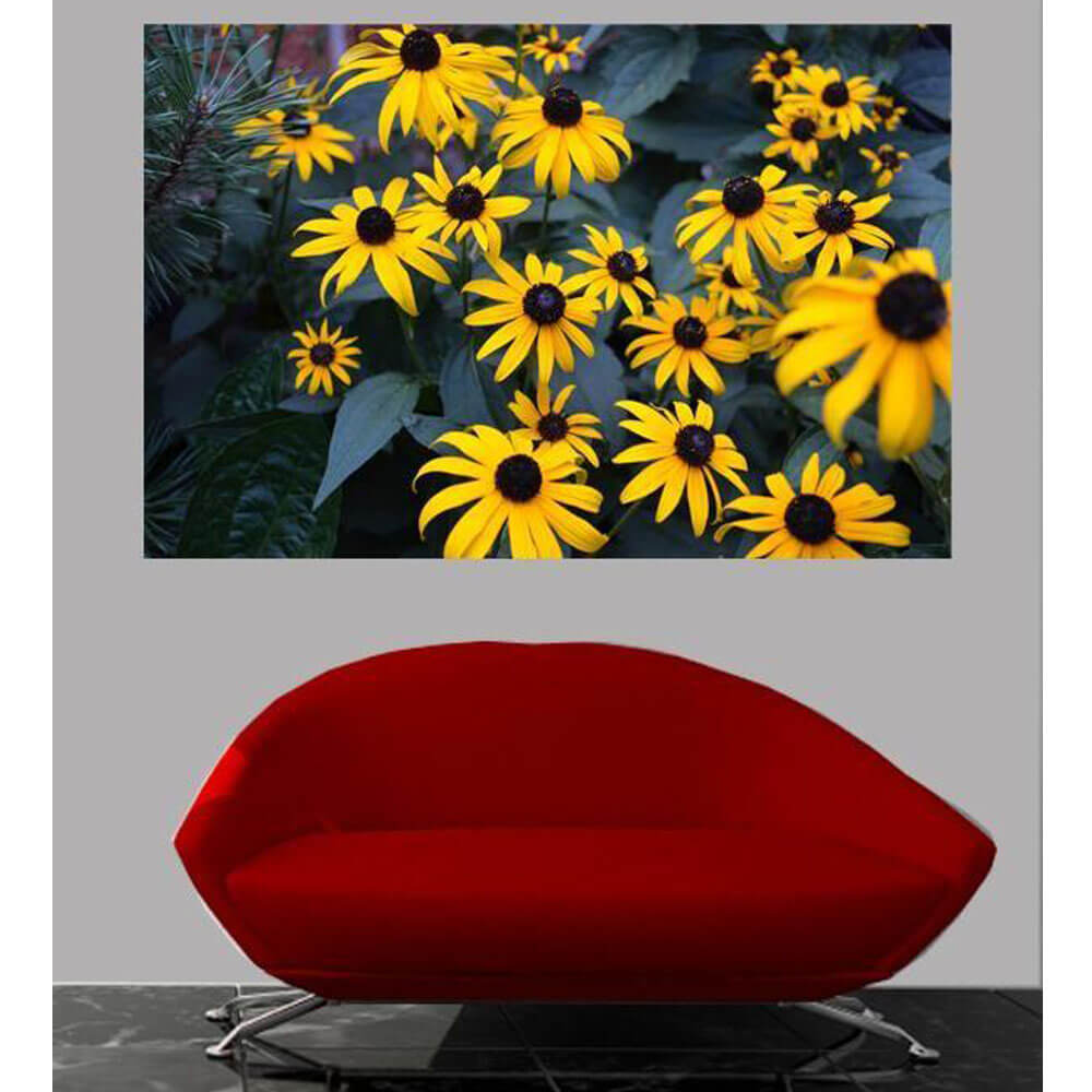 Bunch of Daisies Wall Decal Installed | Wallhogs