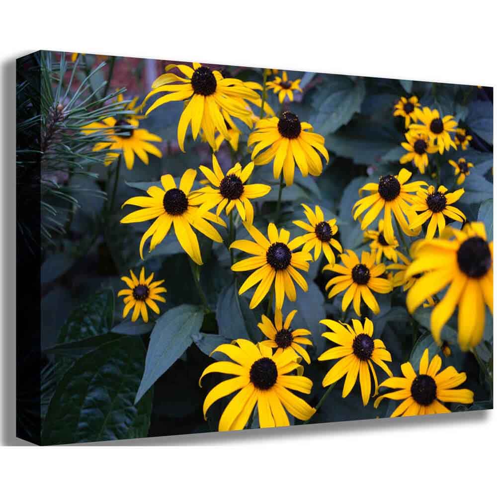 Bunch of Daisies Canvas Printed | Wallhogs