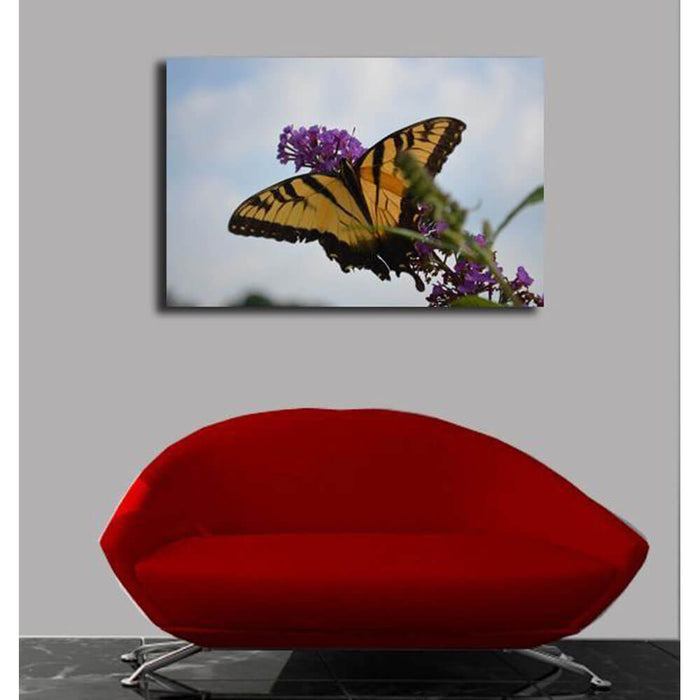 Butterfly Resting Canvas Print Installed | Wallhogs