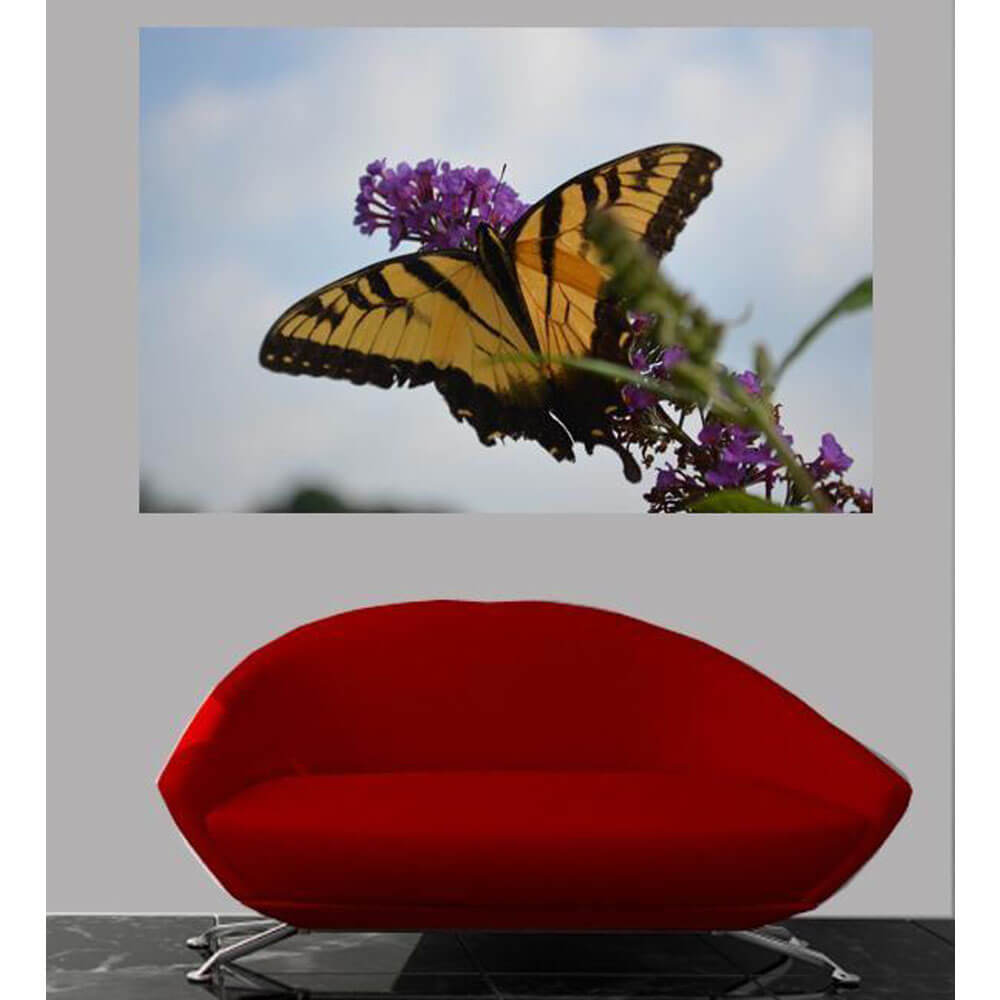 Butterfly Resting Gloss Poster Installed | Wallhogs