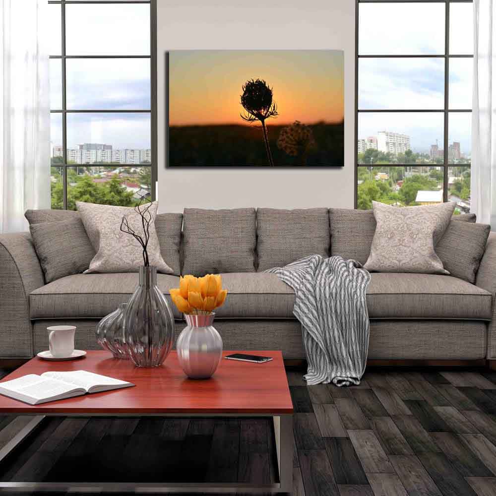 Sunset Flower Canvas Print Installed | Wallhogs