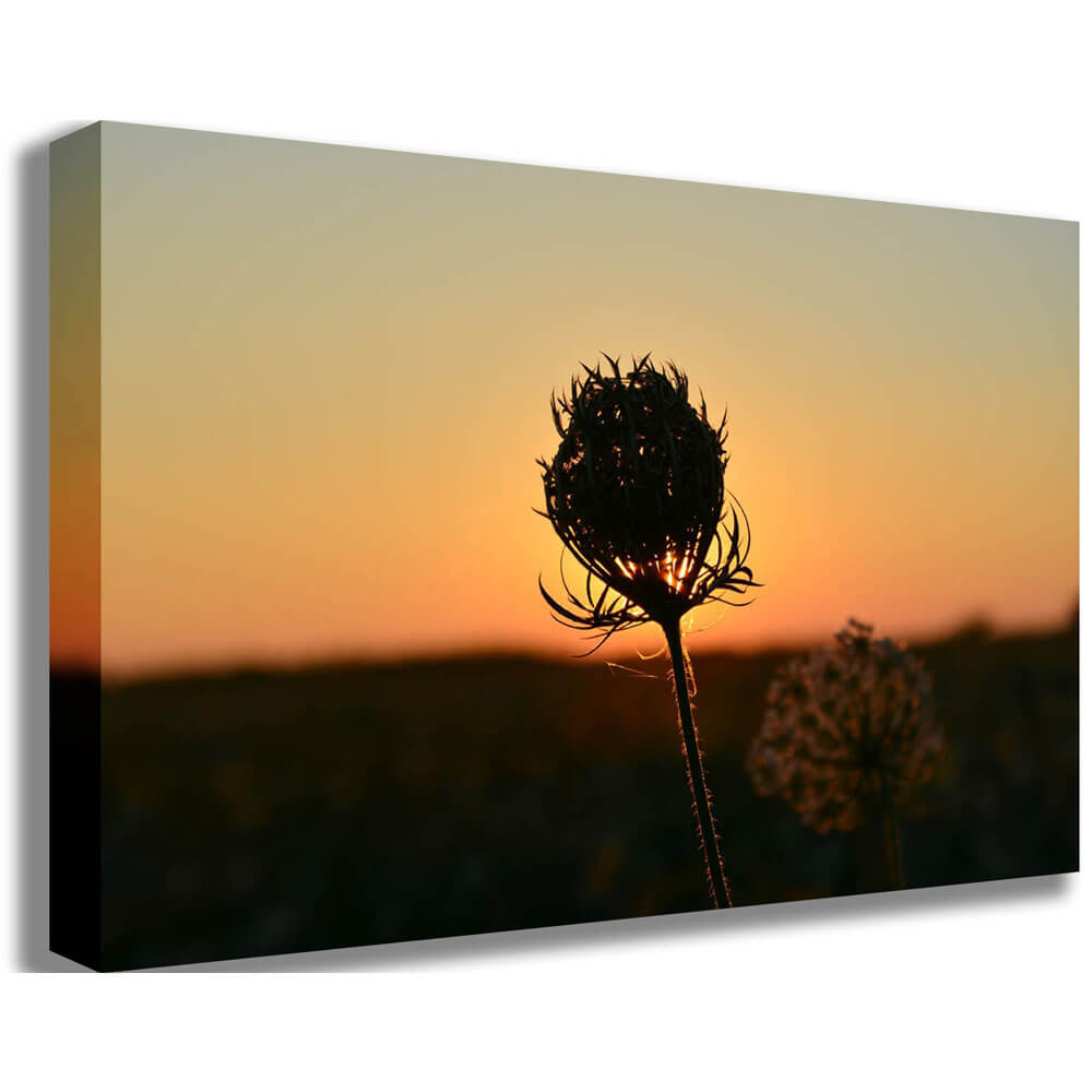 Sunset Flower Canvas Printed | Wallhogs