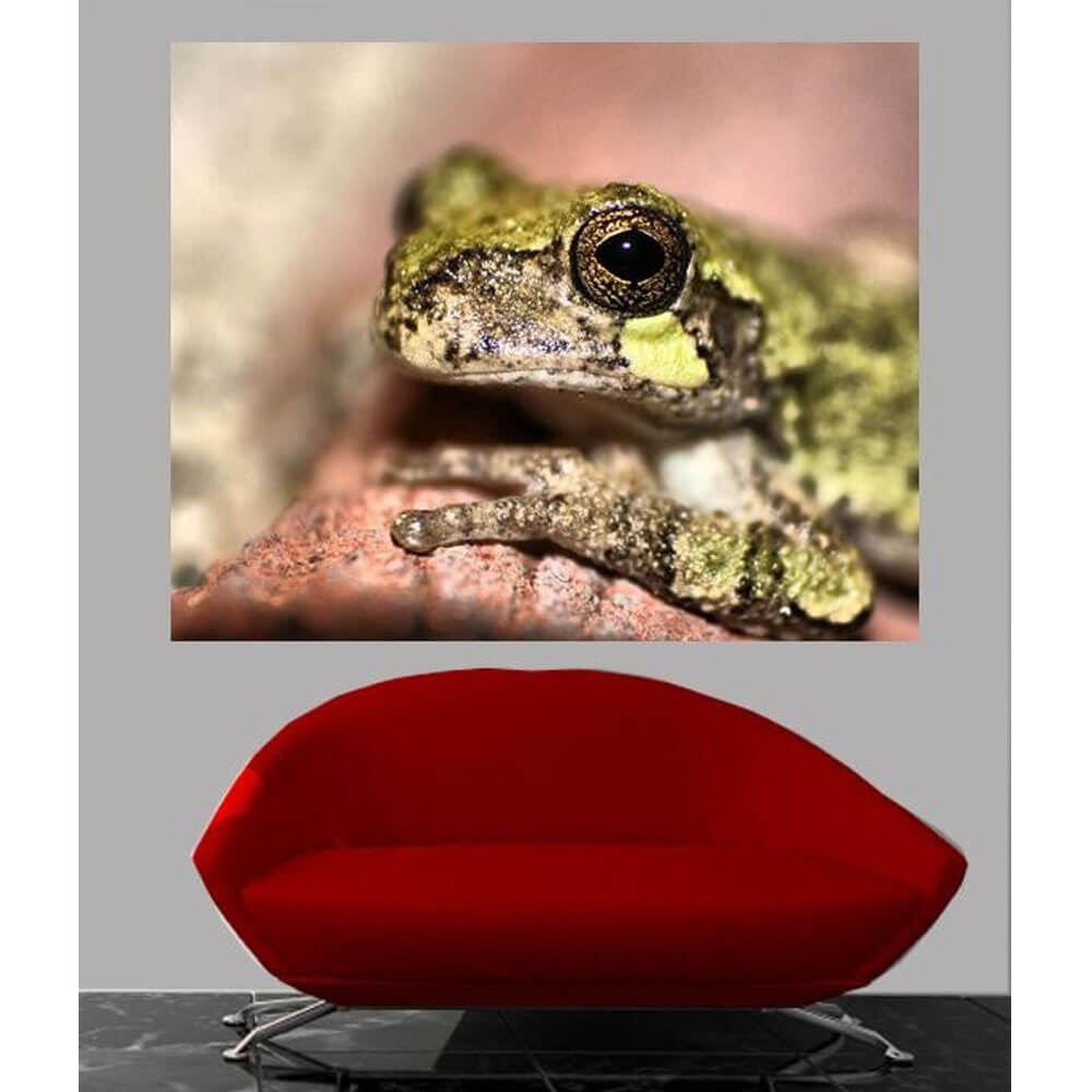 Frog Portrait Wall Decal Installed | Wallhogs