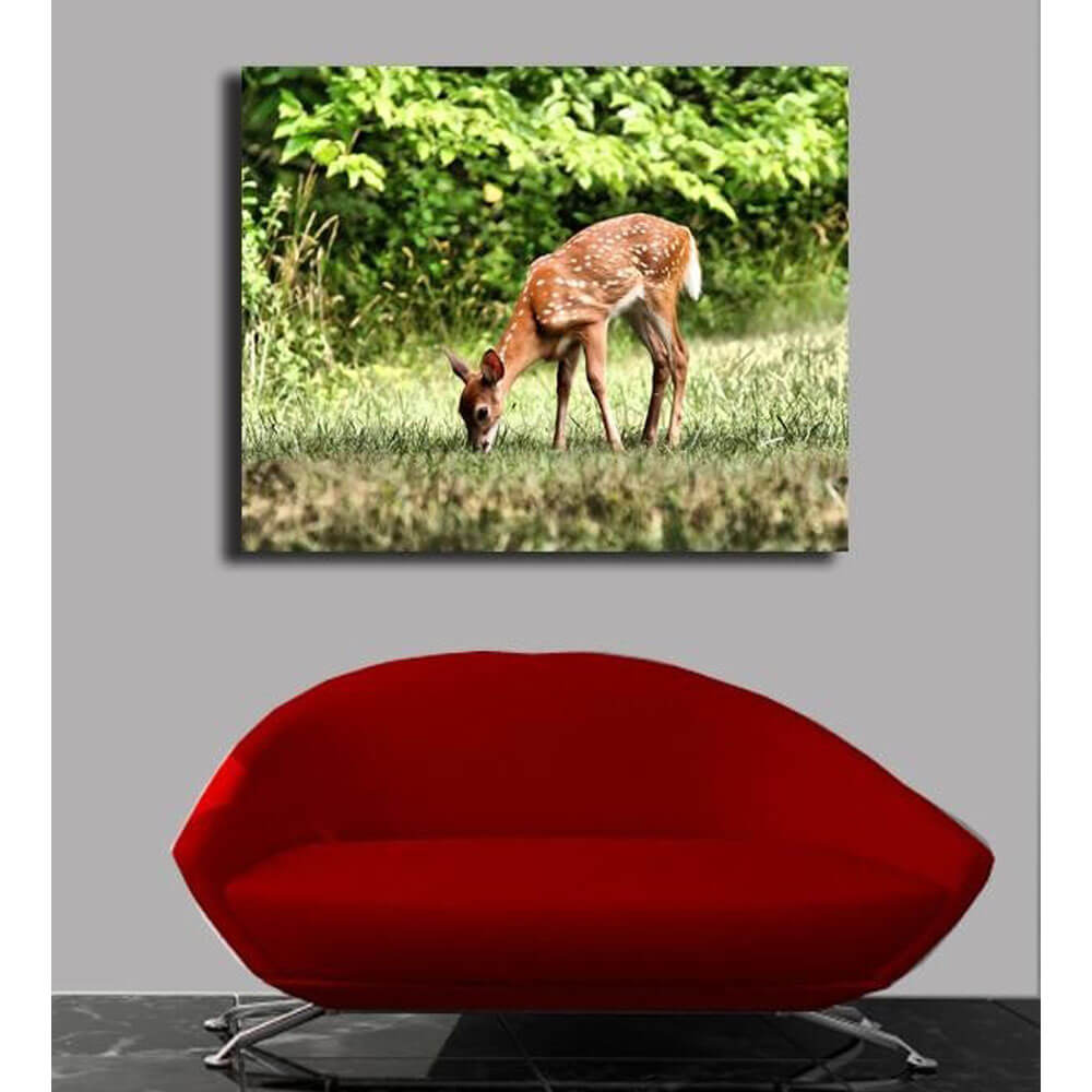 Grazing Fawn Canvas Print Installed | Wallhogs