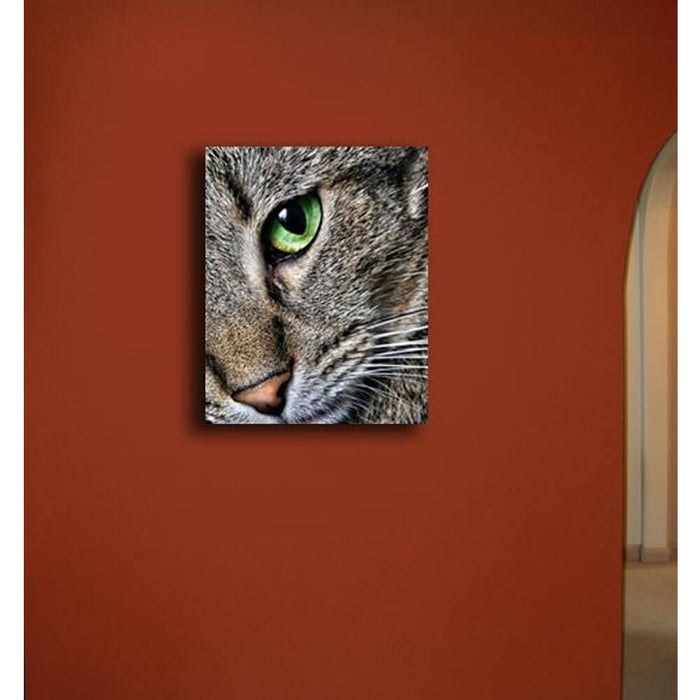 Max Close Up Cat Canvas Print Installed | Wallhogs