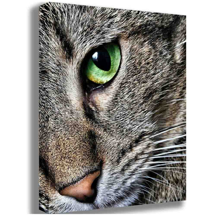 Max Close Up Cat Canvas Printed | Wallhogs