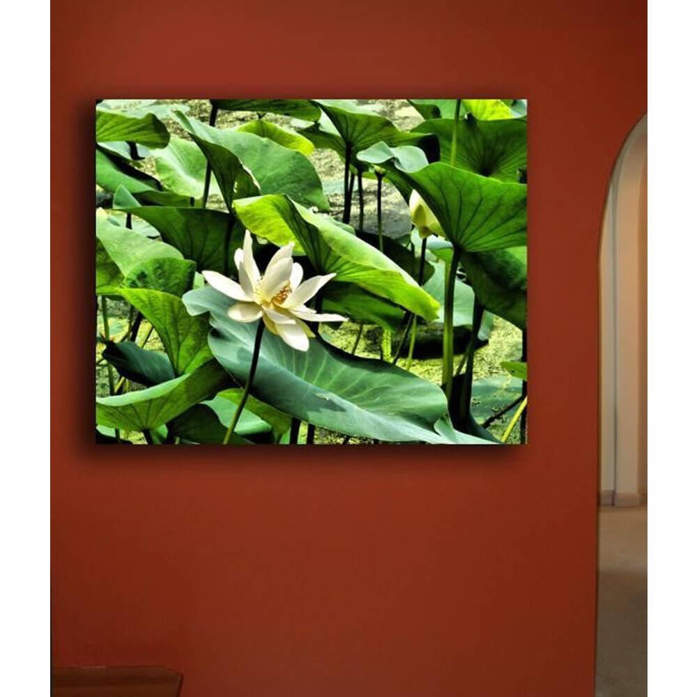 Pond Flower Canvas Print Installed | Wallhogs