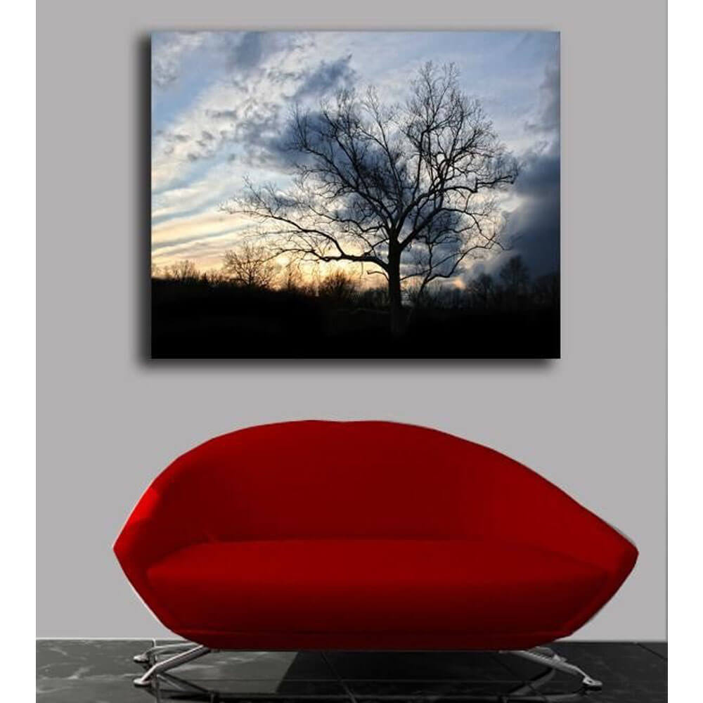 Sunset Tree Canvas Print Installed | Wallhogs