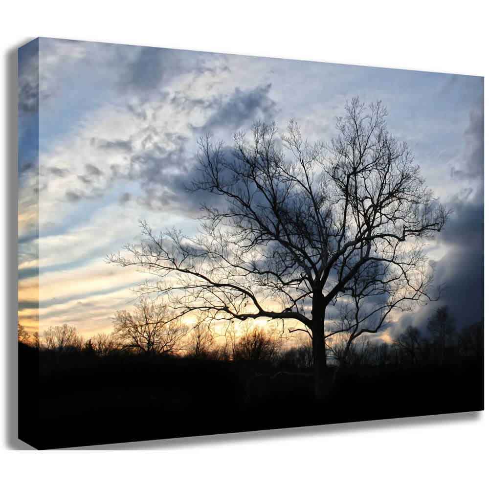 Sunset Tree Canvas Printed | Wallhogs