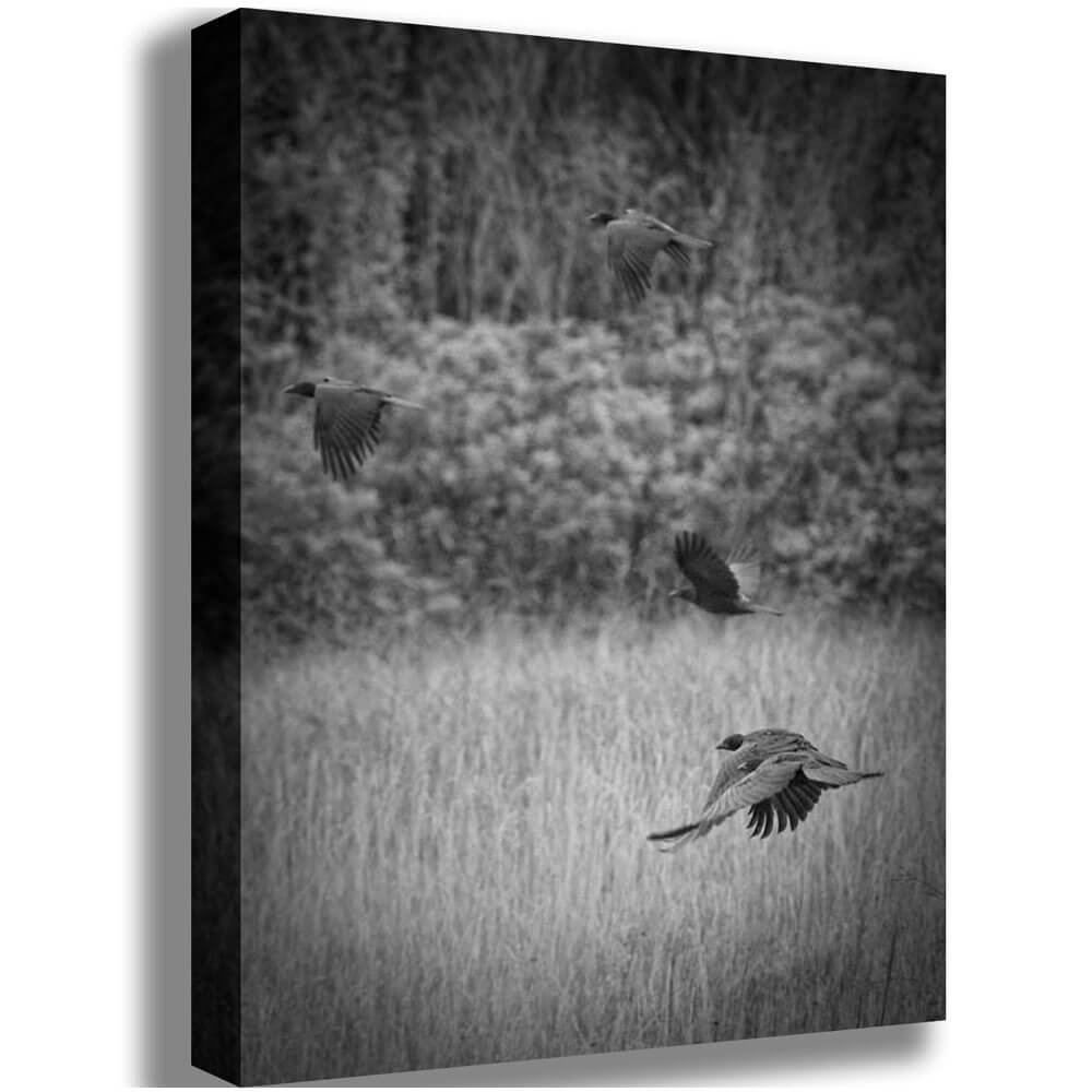 The Crows Canvas Printed | Wallhogs
