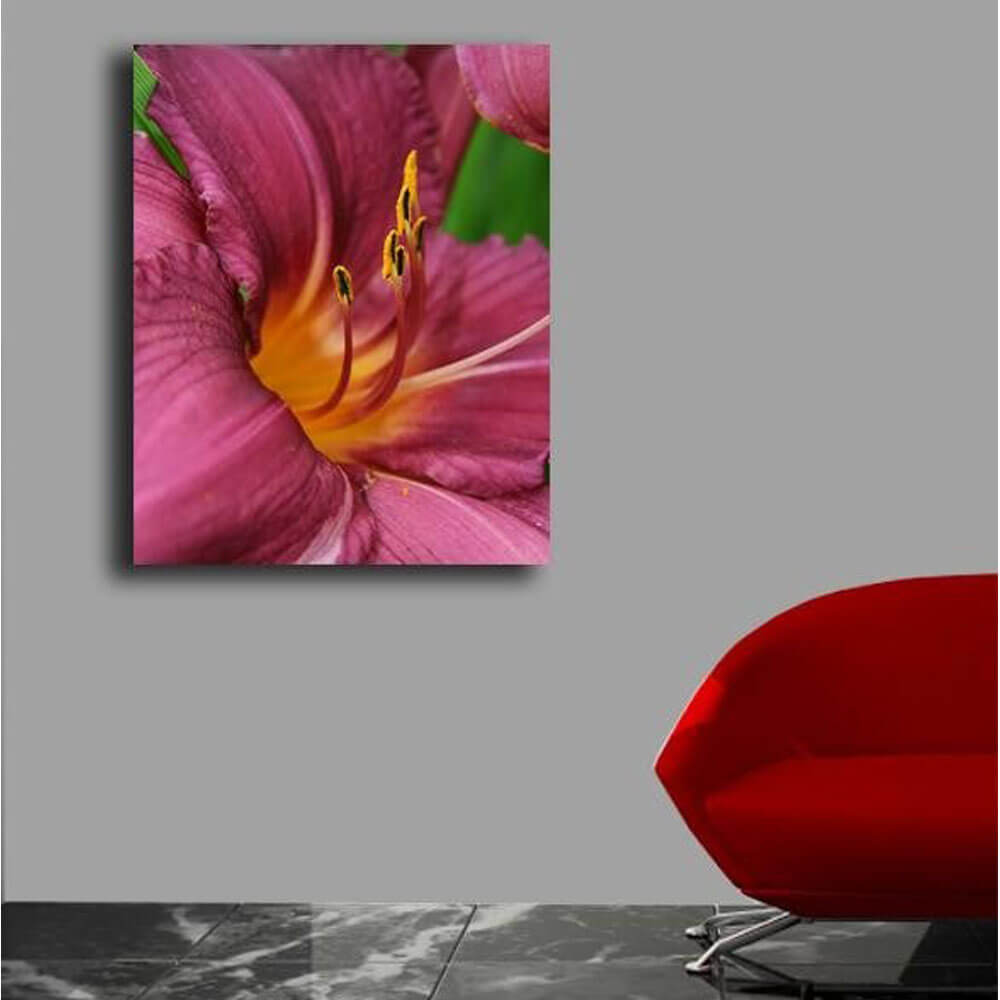The Lily Canvas Print Installed | Wallhogs