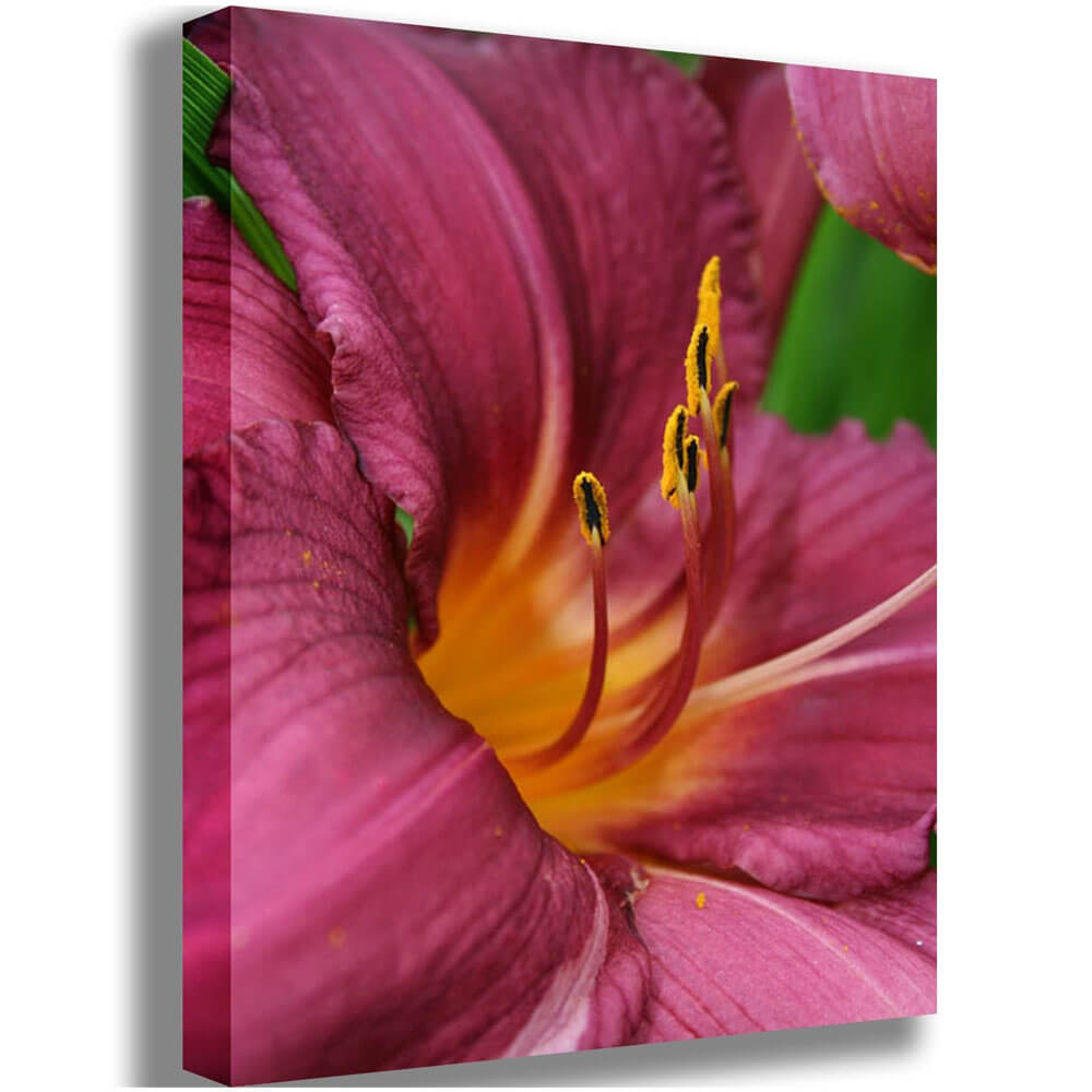 The Lily Canvas Printed | Wallhogs