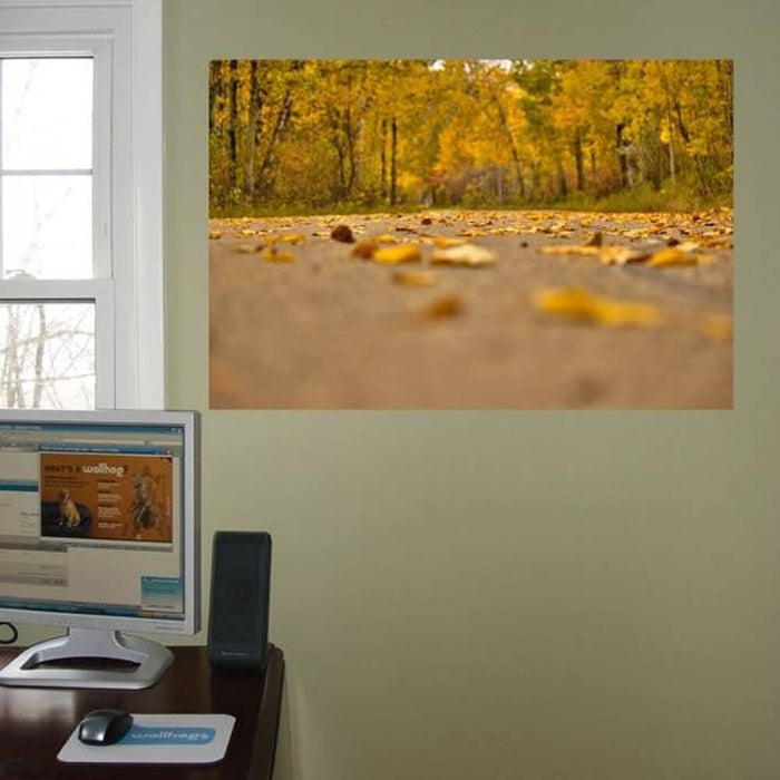 Autumn Road Glossy Poster Installed | Wallhogs