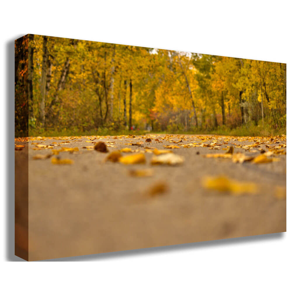 Autumn Road Canvas Printed | Wallhogs