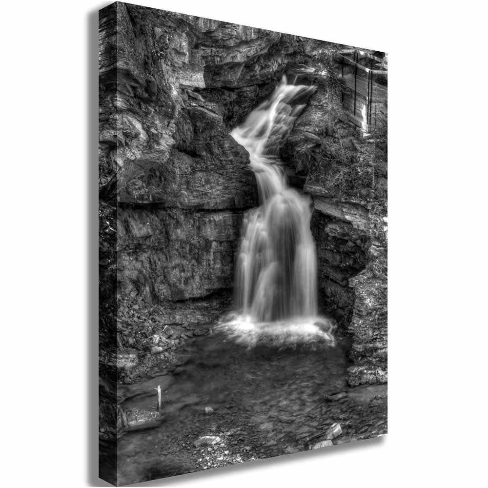 Painterly Waterfall B/W Canvas Printed | Wallhogs