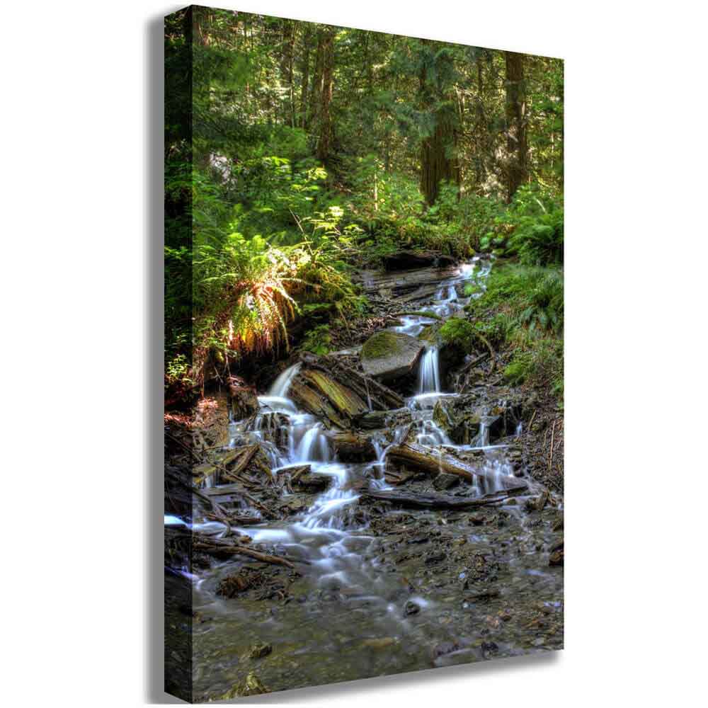 Bridal Falls Canvas Printed | Wallhogs