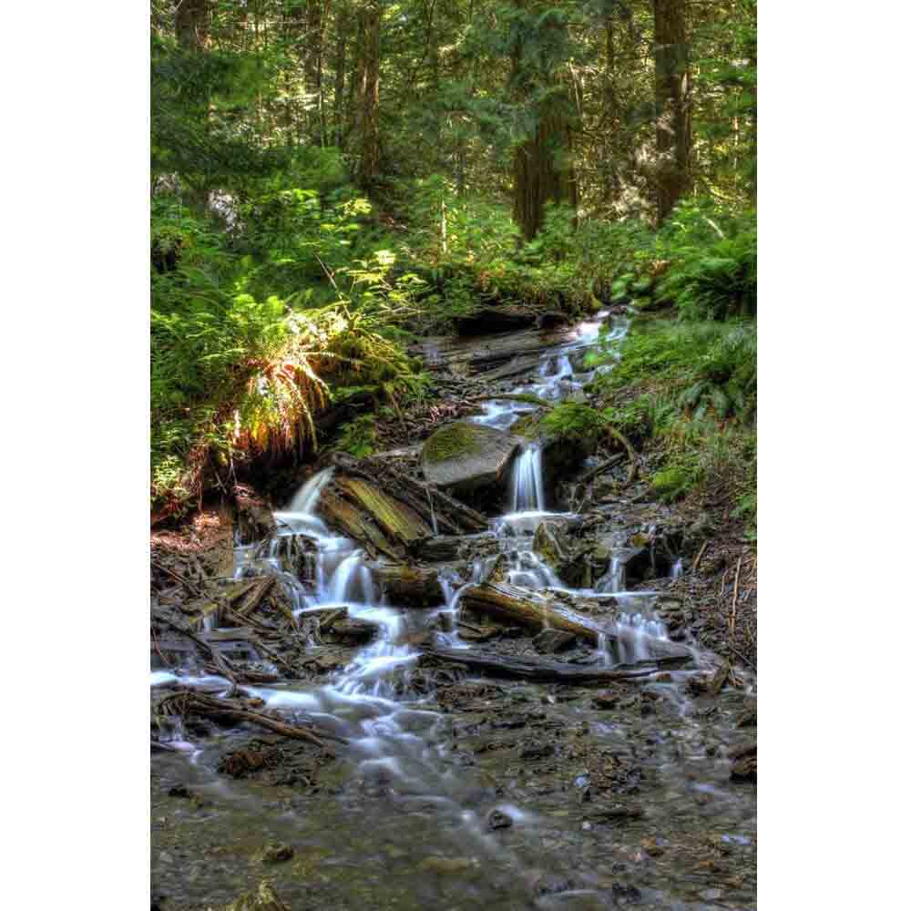 Bridal Falls Wall Decal Printed | Wallhogs