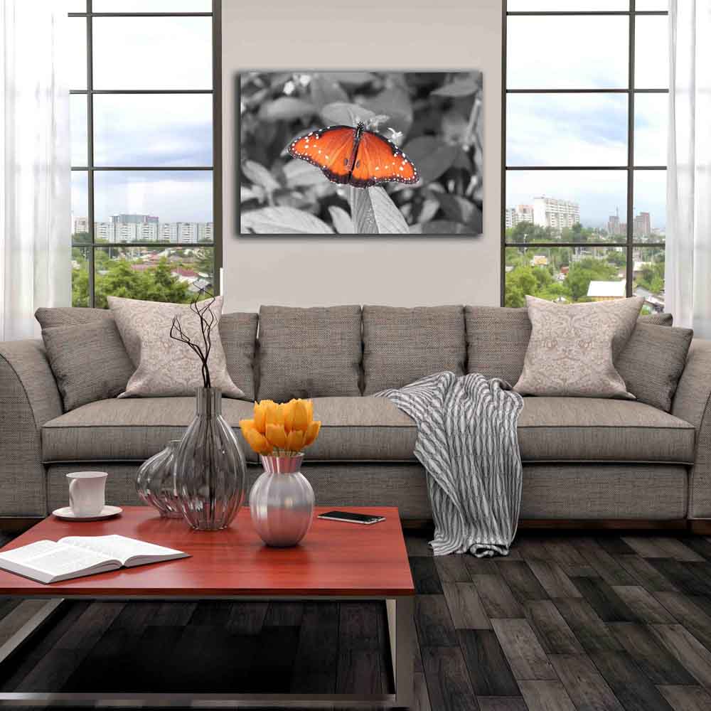 Butterfly Canvas Print Installed | Wallhogs