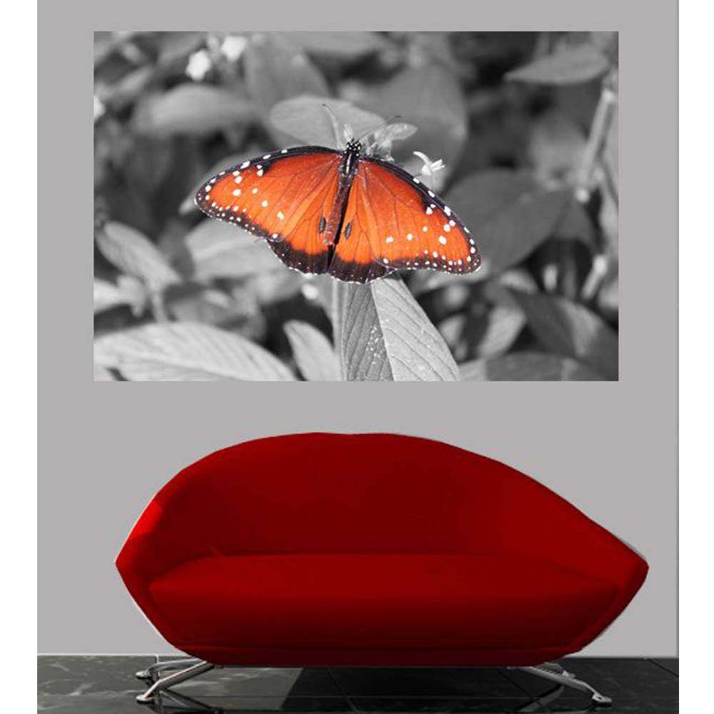 Butterfly Gloss Poster Installed | Wallhogs