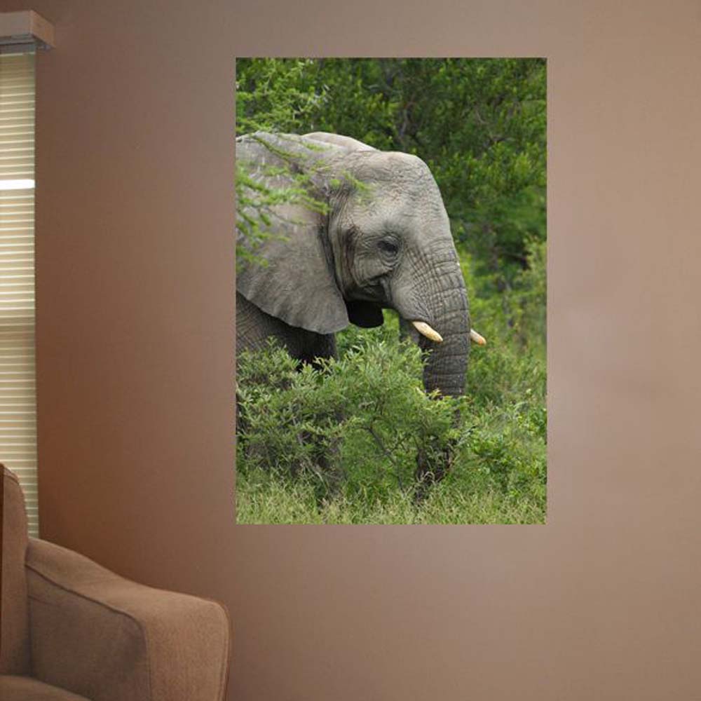 Elephant Gloss Poster Installed | Wallhogs