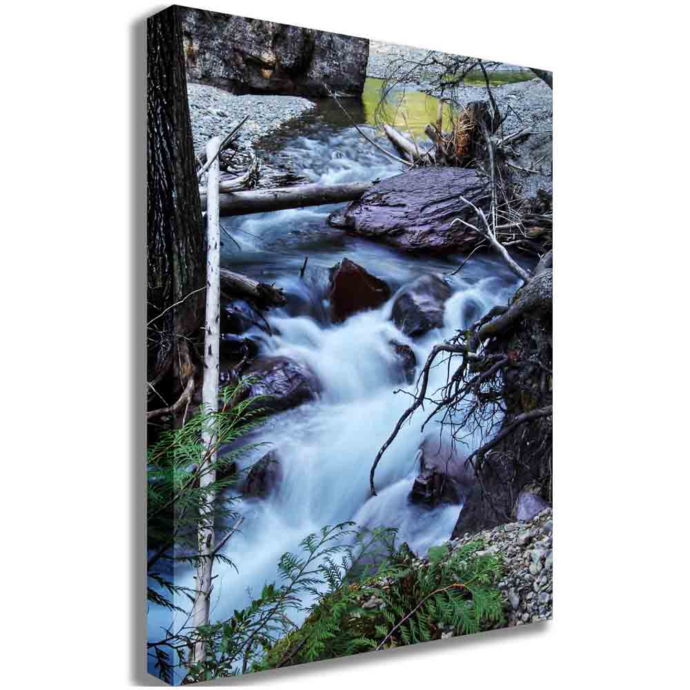 Fast Stream Canvas Printed | Wallhogs