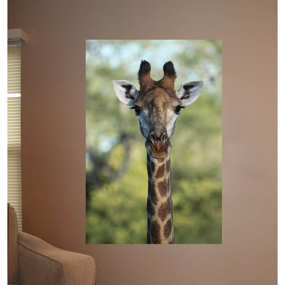 Giraffe Portrait Wall Decal Installed | Wallhogs