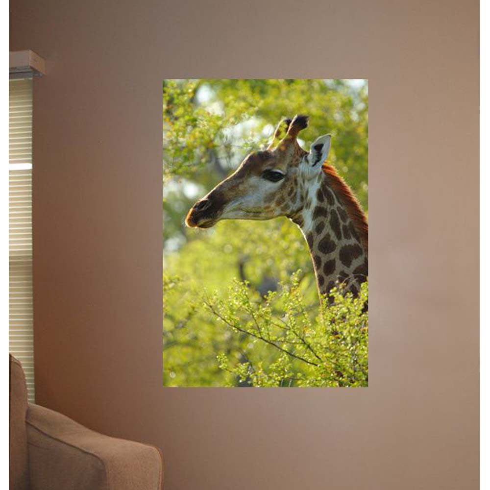 Giraffe Profile Gloss Poster Installed | Wallhogs