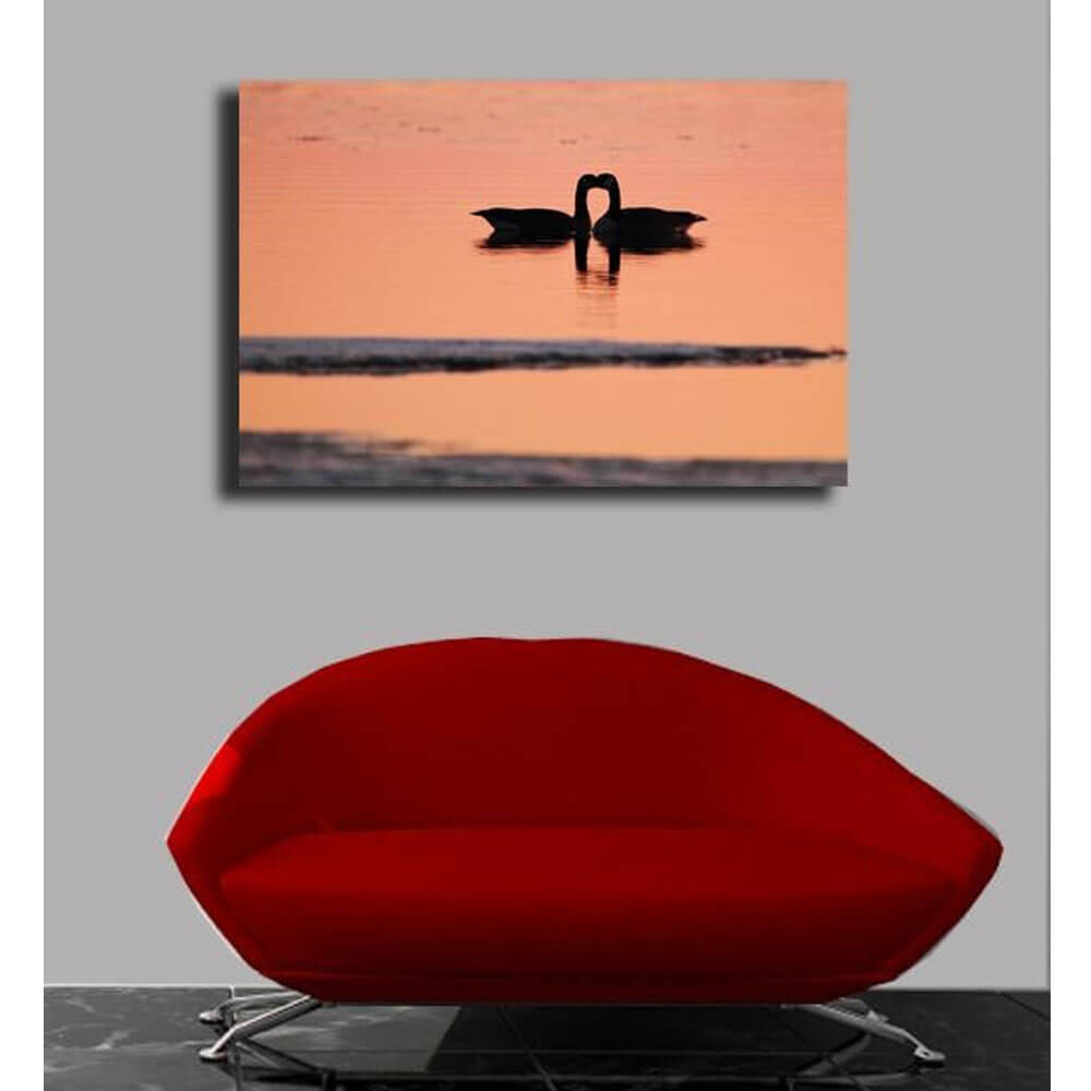 Goose Love Canvas Print Installed | Wallhogs