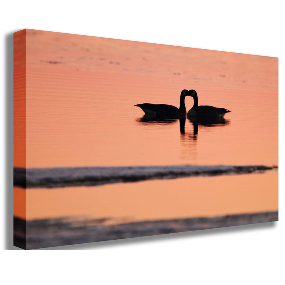 Goose Love Canvas Printed | Wallhogs
