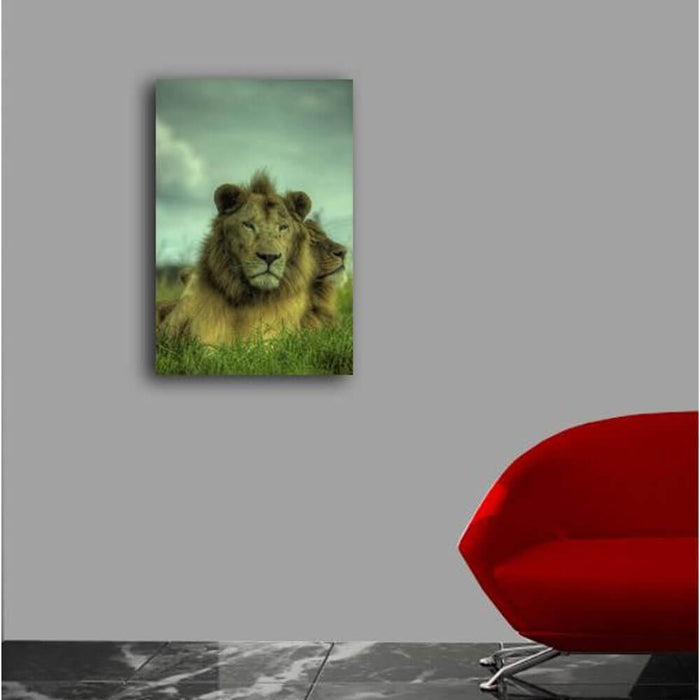 King of the Jungle Canvas Print Installed | Wallhogs