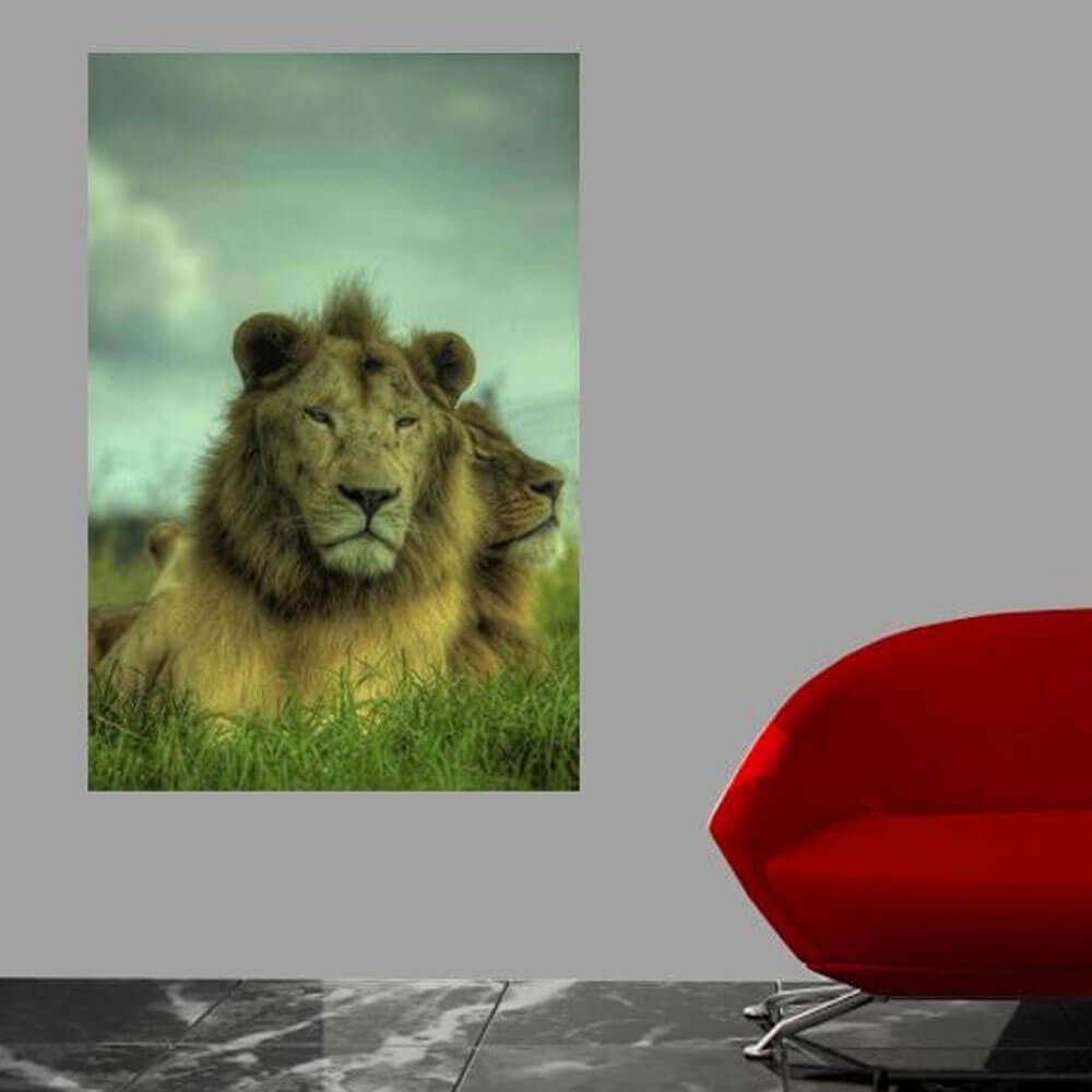 King of the Jungle Gloss Poster Installed | Wallhogs