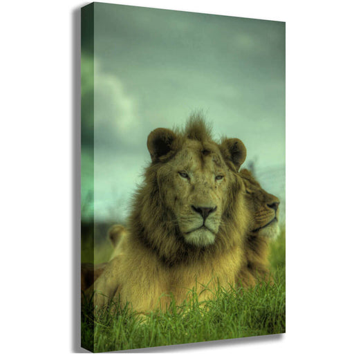 King of the Jungle Canvas Printed | Wallhogs