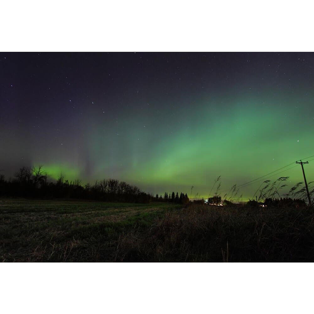 Steve Boer "Northern Lights" Wall Decal Wallhogs