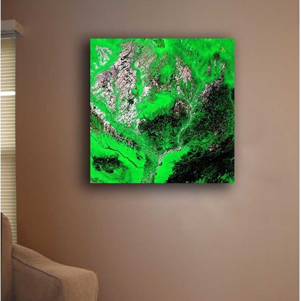 Araca Canvas Print Installed | Wallhogs