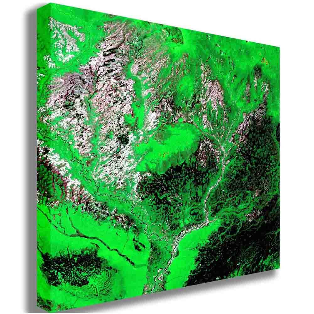 Araca Canvas Printed | Wallhogs