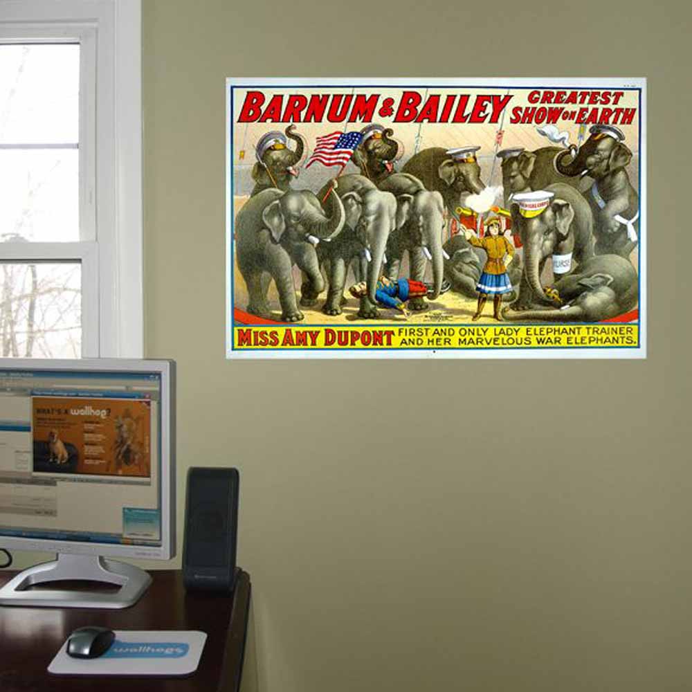 Barnum & Bailey Miss Amy Dupont Poster Installed