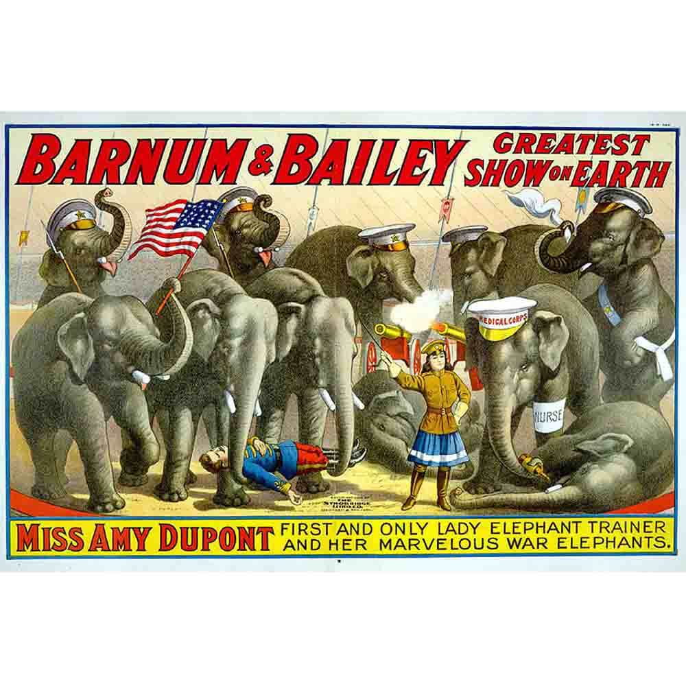 Barnum & Bailey Miss Amy Dupont Poster Printed
