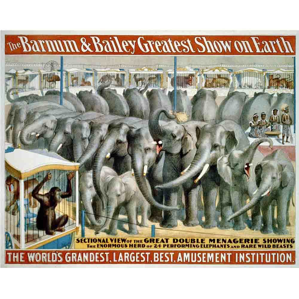 Barnum & Bailey Elephant Wall Decal Printed | Wallhogs